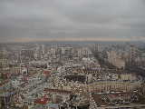 Click to see P1290001.jpg