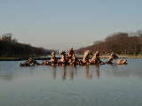 Click to see P1300027.jpg