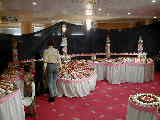 Click to see P2060047.jpg